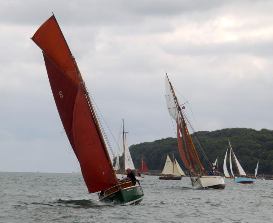 Greensleeves ahead of Molly Cobbler © G Flashman 2018 