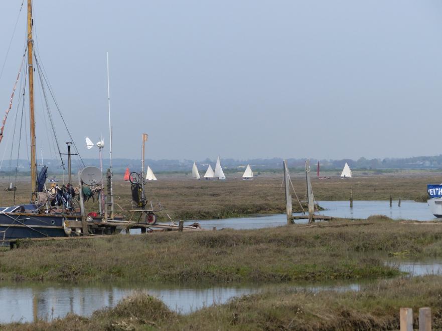 View across the saltings. Distant view of the racing at Tollebsury 2016 © Sue Lewis 2016 