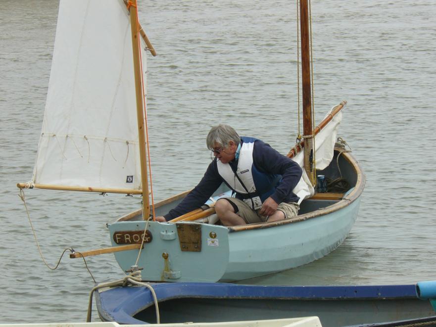 Frog launching at Tollesbury 2017 © Sue Lewis 2017 