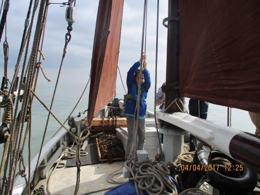 Heave ho! Young Sea Scout trying the heavy work on smack Sallie ©Richard Tichener 