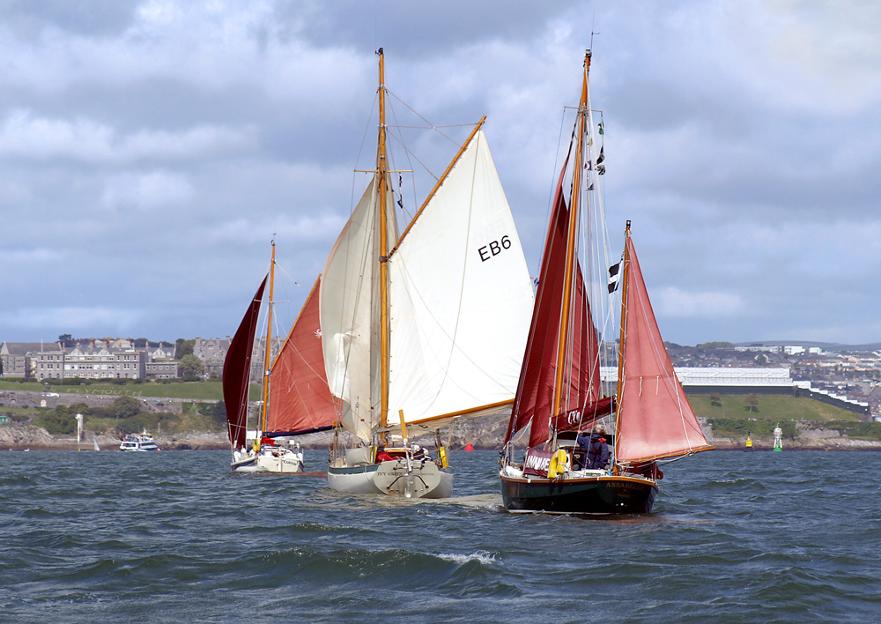 'Cariad', 'Ivy Green' and 'Annabelle' enjoy a day out with SW gaffers ©Immanuel Craig 