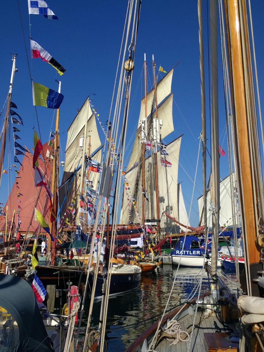 OGA Falmouth