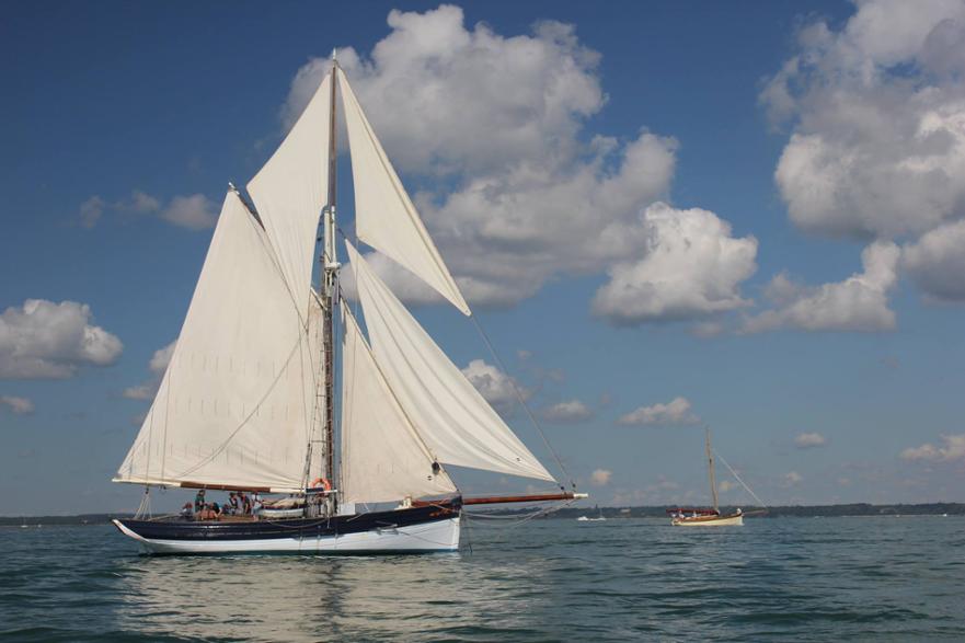 Amelie Rose looking splendid ©S Mitchell 