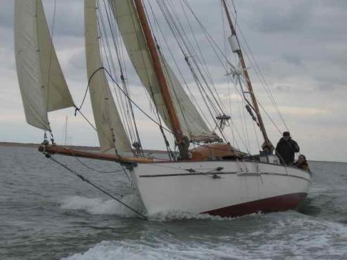 'Gwenili', Bordeaux built 1910 Charging down the River Colne, 2009 ©Martin Goodrich 2009 