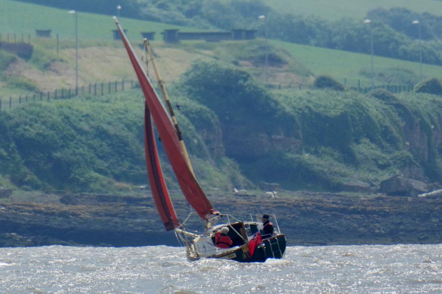 Charlie off Portishead photo Viv Head