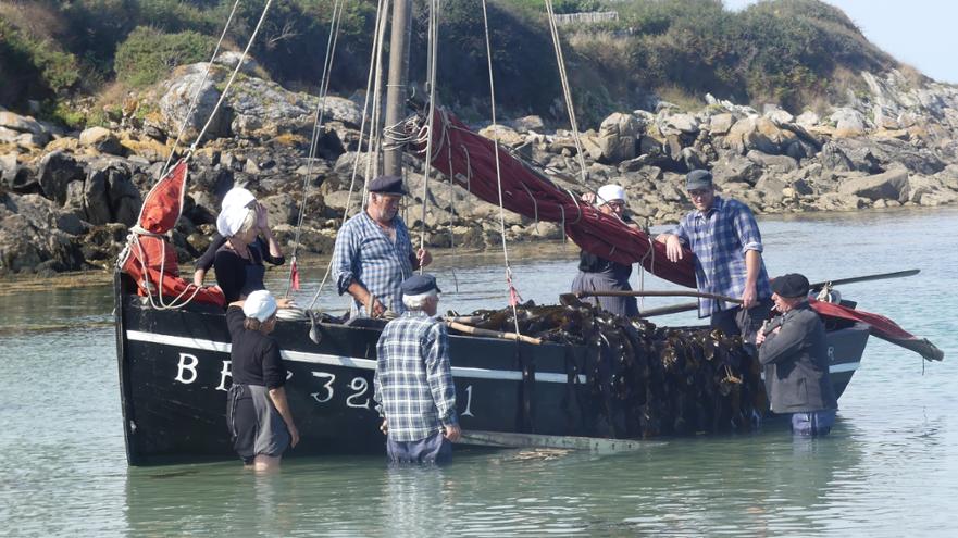 TB 3 Unloading Seaweed
